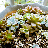 ����Ϳ����ˣ��浣���ҵ�������