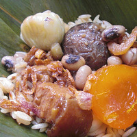 ���������յ��������� +�����綯�ְ����ӡ�