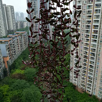 ͽ���Ķ���