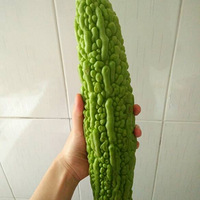 �ྡ����+�����մ�����������