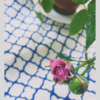 �¼�������