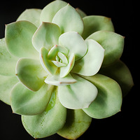 ���ҵ���������������