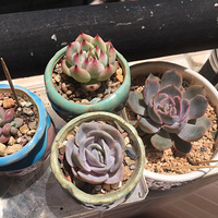 ��Ӵ���꣡����ܺ�