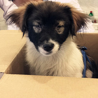 ������5�ŵ��ڴ�