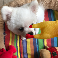 �Ҽҵ�С�Ȼ�