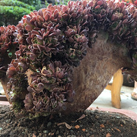 ������������ҵİ�