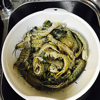 ��С���Ľ�������Ϻ