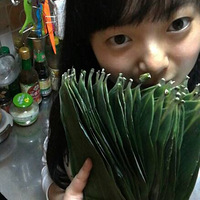 �����¼��ܣ���������Ҳ�������ˡ����綯�ְ����ӡ�