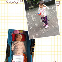 ѡ֮