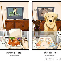 ������ǰ���������ĶԱȣ�ÿ��ͼ�������ˡ���