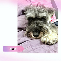 ���� ���������п��׵ĸ�����ٹ����ݵ�����Ժ �������ʡ�