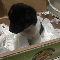 С�̹��Ҽ���