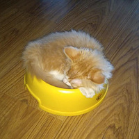 ������~С����һ������ڳ����ˣ�