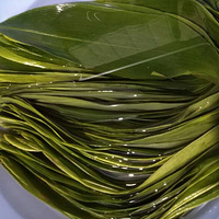 ���ӽ�+�����綯�ְ����ӡ�