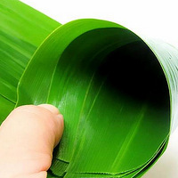 ������������ +�����綯�ְ����ӡ�