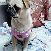 �山������Ѱ����ʾ