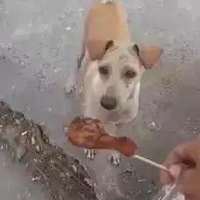 ���ι��ڹ�����ĸ�����£������������