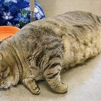 è�����̫���£����һ��Ҫע�⣡