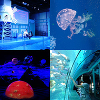 �������Сʱ������̫�溣��ݣ�������