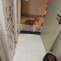 ���Ӵ��ˣ������ˣ�Խ��Խ�ԡ�