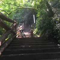 ��ĩ��5����--�Ž�ɽ