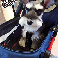 �����ɶ�֮�ã����������˲��繷