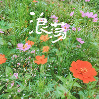 ������baby�Ķ������Ǵ�-��԰�Ļ���������