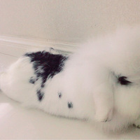 ��������120���󵽳��������ü�ë�����˺����Ƿ���Ҫ������