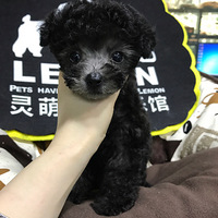 ��Щ�豭̩��̫�ÿ�