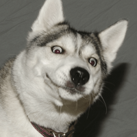 ��ʲôʱ���Լ����ӵ��������ˣ�������λ��ʺ�ٵĹ��£�