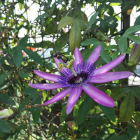 ����һ��