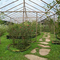 ����ҷ���һ��̩���ʼһ�԰�Ĵ���·ʯ