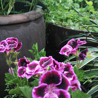 �����ÿ��Ķ�����