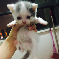 ��������������ǿ�¥�ɳ��ռǣ�