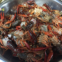 ��ĩ��С��Ϻ����Ŷ��