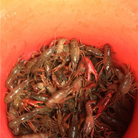 ���в�����Ϣ������Լ������ȥ����Ϻ���ջ�������