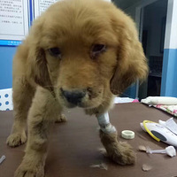 �����Ѽ�һ��������������С��ë����