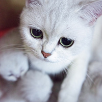 ���۾��ˣ�������ô��