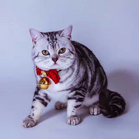 �ȳ�������ɹ������