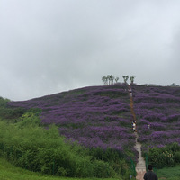 ����桰������˹���������Ŵ��޷ŷ���