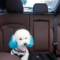 ��������������Ů����