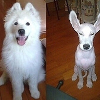 ���쵽�ˣ���ҳ����ë������������Щ������ļ�Ʒ���ͣ�