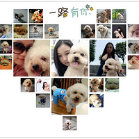 лл�����飬�ҵ�Amy