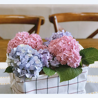 ��è�л������Ǽ�