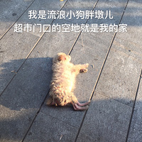 ��С�ֶ��Ҹ���