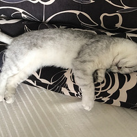 ������һ����