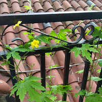 Ѱ�������е�����