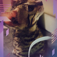 ��ԥ�ܾã����չ���������С���Ӵ��ؼ�