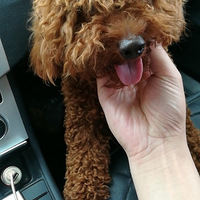 ��̩��ϴ�裬�ظ����٣�������