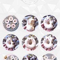 С��������Ȧ